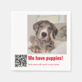 Great Dane Pup te koop Servet (Voorkant)