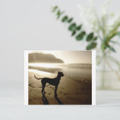 Great Dane Puppy Sunset Briefkaart (Staand voorkant)