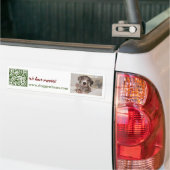 Great Dane Puppy te Koop Bumpersticker (Op Truck)