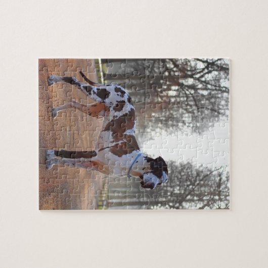 Great Dane Puzzle Legpuzzel (Horizontaal)
