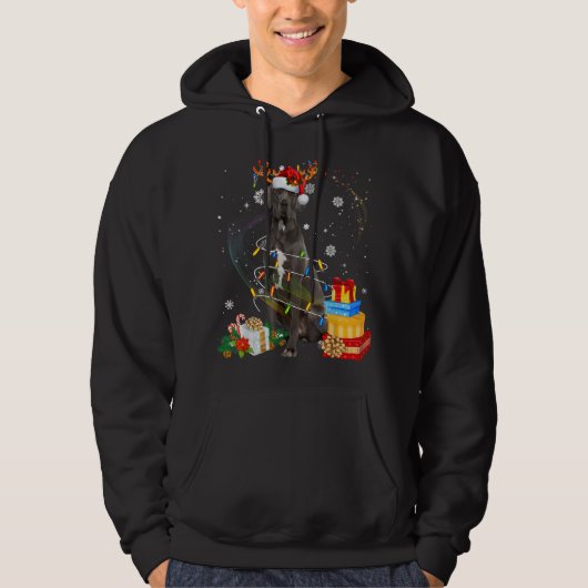 Great Dane Reindeer kerstlampjes Funny Dog Xma Hoodie (Voorkant)