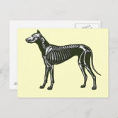 Great Dane skeleton Briefkaart (Voorkant / Achterkant)