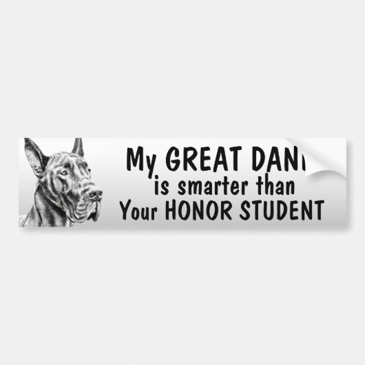 Great Dane - Smarter dan eremstudent - grappig Bumpersticker (Voorkant)