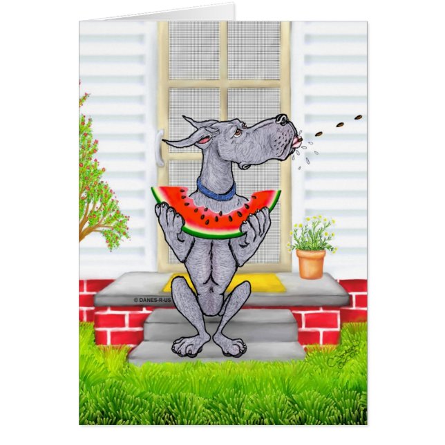 Great Dane SPIT Blue (Voorkant)