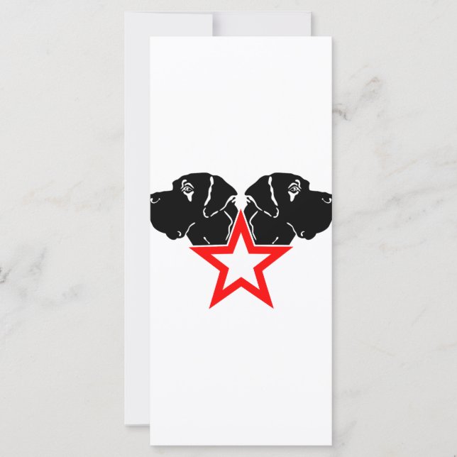 Great Dane Star Head (Voorkant)