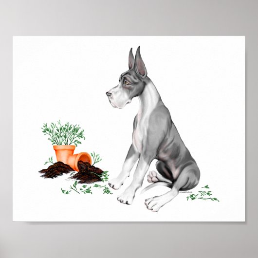 Great Dane Stoute Pup Mantel Poster (Voorkant)