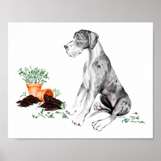 Great Dane Stoute Pup MerleB UC Poster (Voorkant)