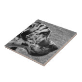 GREAT DANE TEGELTJE (Zijkant)