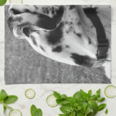 GREAT DANE THEEDOEK (Gevouwen)