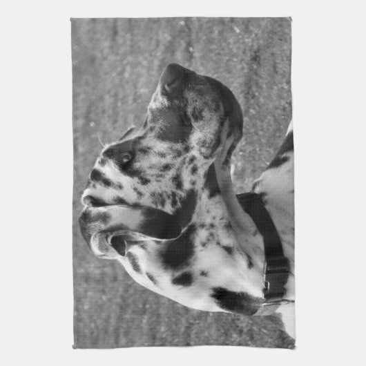 GREAT DANE THEEDOEK (Verticaal)