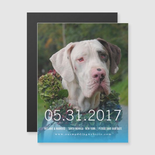 Great Dane Uitnodiging Magnetische Uitnodiging (Voorkant / Achterkant)