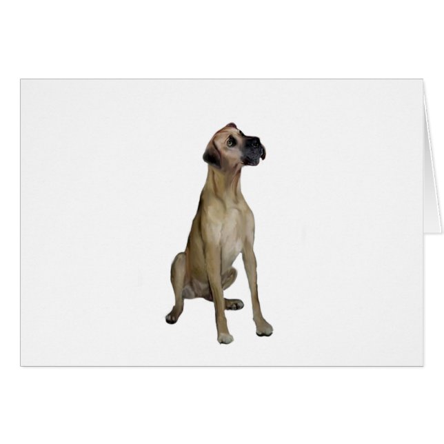 Great Dane - VaalZit - natuurlijke oren (Voorkant Horizontaal)