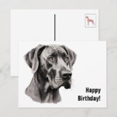 Great Dane Verjaardag Briefkaart (Voorkant / Achterkant)