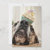 Great Dane verjaardagskaart Kaart (Achterkant)