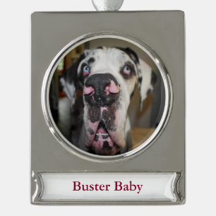Great Dane-versiering Verzilverd Banner Ornament