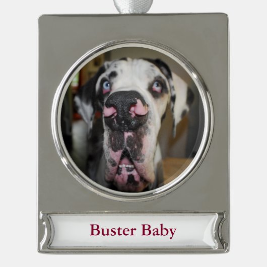 Great Dane-versiering Verzilverd Banner Ornament (Voorkant)