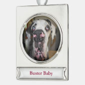 Great Dane-versiering Verzilverd Banner Ornament (Links)