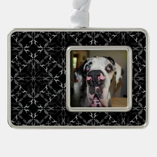 Great Dane-versiering Verzilverd Omlijst Ornament (Voorkant)