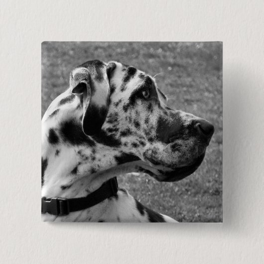 GREAT DANE VIERKANTE BUTTON 5,1 CM (Voorkant)