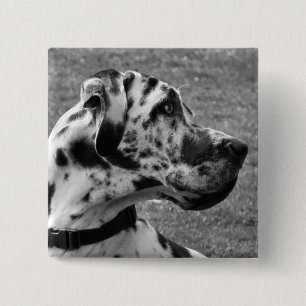 GREAT DANE VIERKANTE BUTTON 5,1 CM