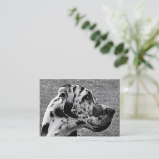 GREAT DANE VISITEKAARTJE (Staand voorkant)