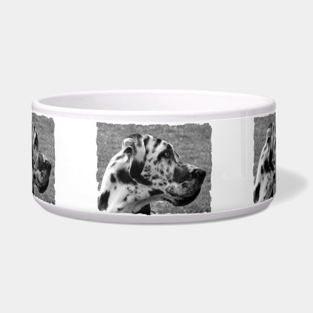 GREAT DANE VOERBAKJE (Voorkant)