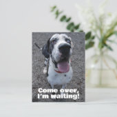 Great Dane waiting for you Briefkaart (Staand voorkant)