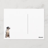 Great Dane waiting for you Briefkaart (Achterkant)