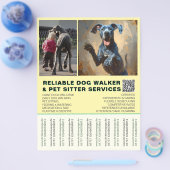 Great Dane Walker Simple Strip Flyer (Enkel)