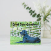 Great DaneGreetingsPostcard Briefkaart (Staand voorkant)