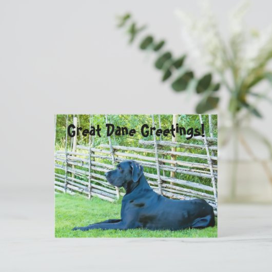 Great DaneGreetingsPostcard Briefkaart (Staand voorkant)