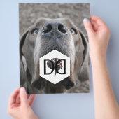 Great Danes Fokker Flyer (Hand)