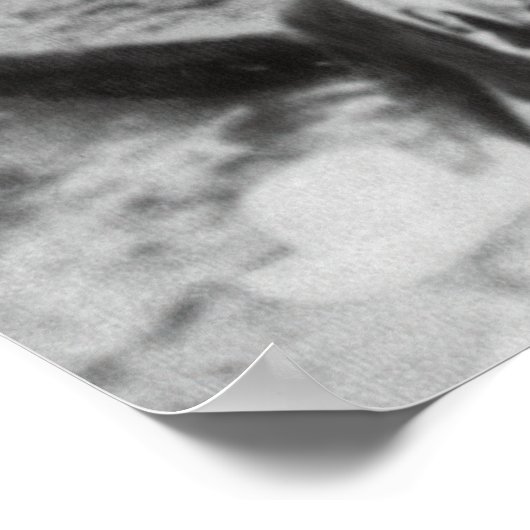 GREAT DEPRESSION BANK RUN 1931 POSTER (Hoek)