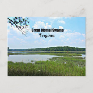 Great Dismal Swamp - Virginia Briefkaart