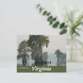 Great Dismal Swamp Virginia Briefkaart (Staand voorkant)