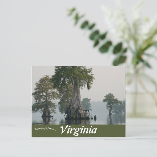 Great Dismal Swamp Virginia Briefkaart (Staand voorkant)