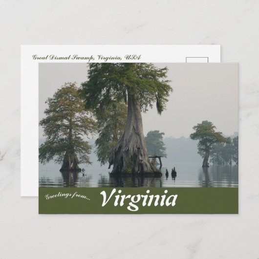 Great Dismal Swamp Virginia Briefkaart (Voorkant / Achterkant)