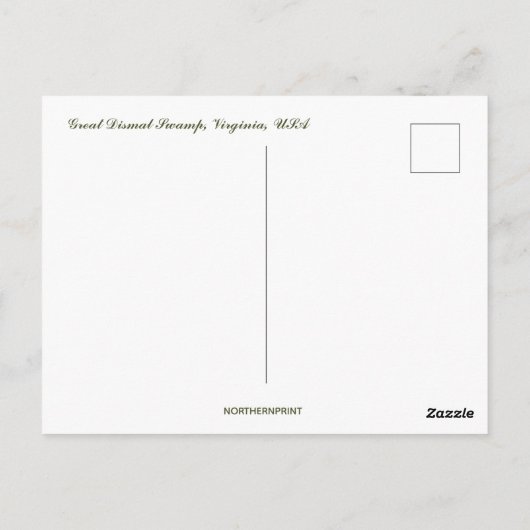 Great Dismal Swamp Virginia Briefkaart (Achterkant)