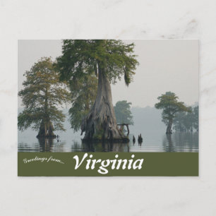 Great Dismal Swamp Virginia Briefkaart