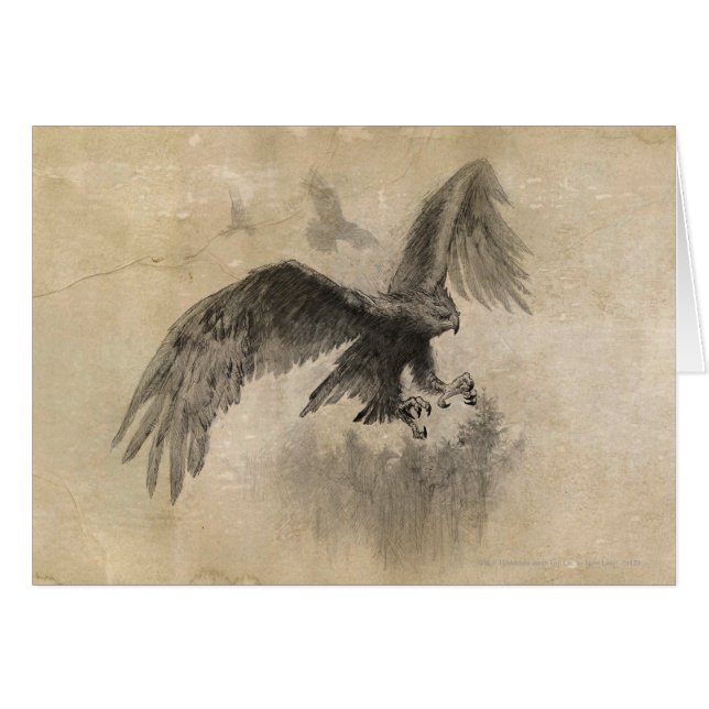 Great Eagles Sketch (Voorkant Horizontaal)