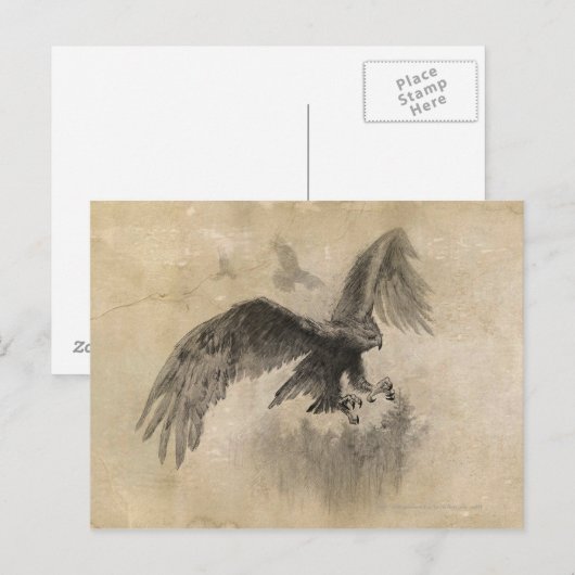 Great Eagles Sketch Briefkaart (Voorkant / Achterkant)