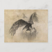 Great Eagles Sketch Briefkaart (Voorkant)