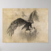 Great Eagles Sketch Poster (Voorkant)