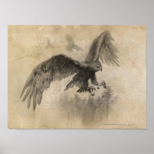 Great Eagles Sketch Poster (Voorkant)