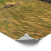 Great Egret Bird in Viera Wetlands Poster (Hoek)