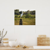 Great Egret Bird in Viera Wetlands Poster (Keuken)