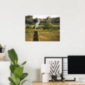 Great Egret Bird in Viera Wetlands Poster (Thuiskantoor)