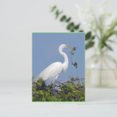 Great Egret, briefkaart van Florida (Staand voorkant)
