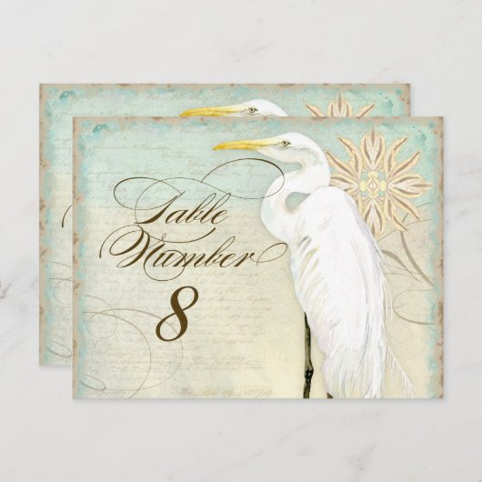 Great Egret Coastal Beach - Tafelnummer Briefkaart (Voorkant / Achterkant)