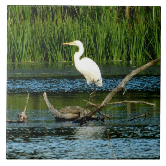 Great Egret decoratieve Tegel Tegeltje (Voorkant)